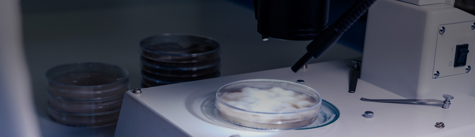 lens-lens-Ningbo Leersai Optical Instrument Co., Ltd.